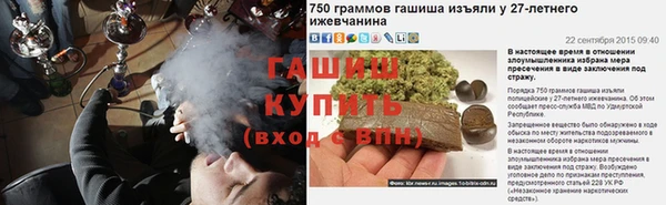 гидра Бронницы
