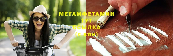 гидра Бронницы