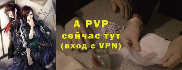 гидра Бронницы