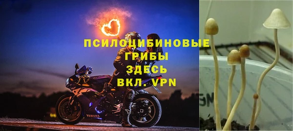 COCAINE Бородино