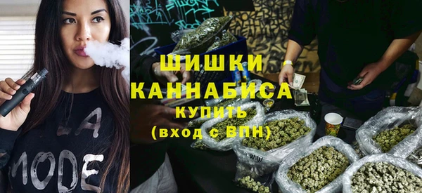 гидра Бронницы