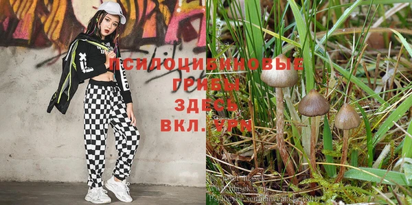 гидра Бронницы