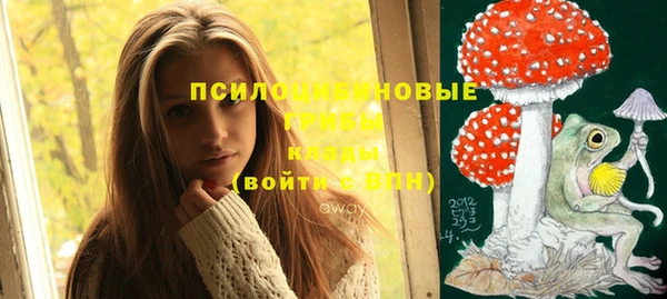 гидра Бронницы