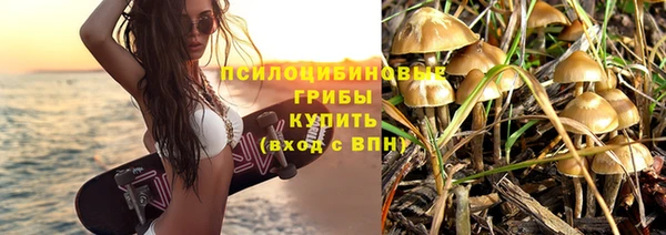 гидра Бронницы