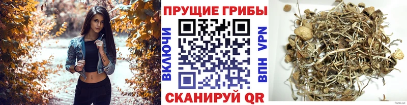 Галлюциногенные грибы мицелий  Северодвинск 